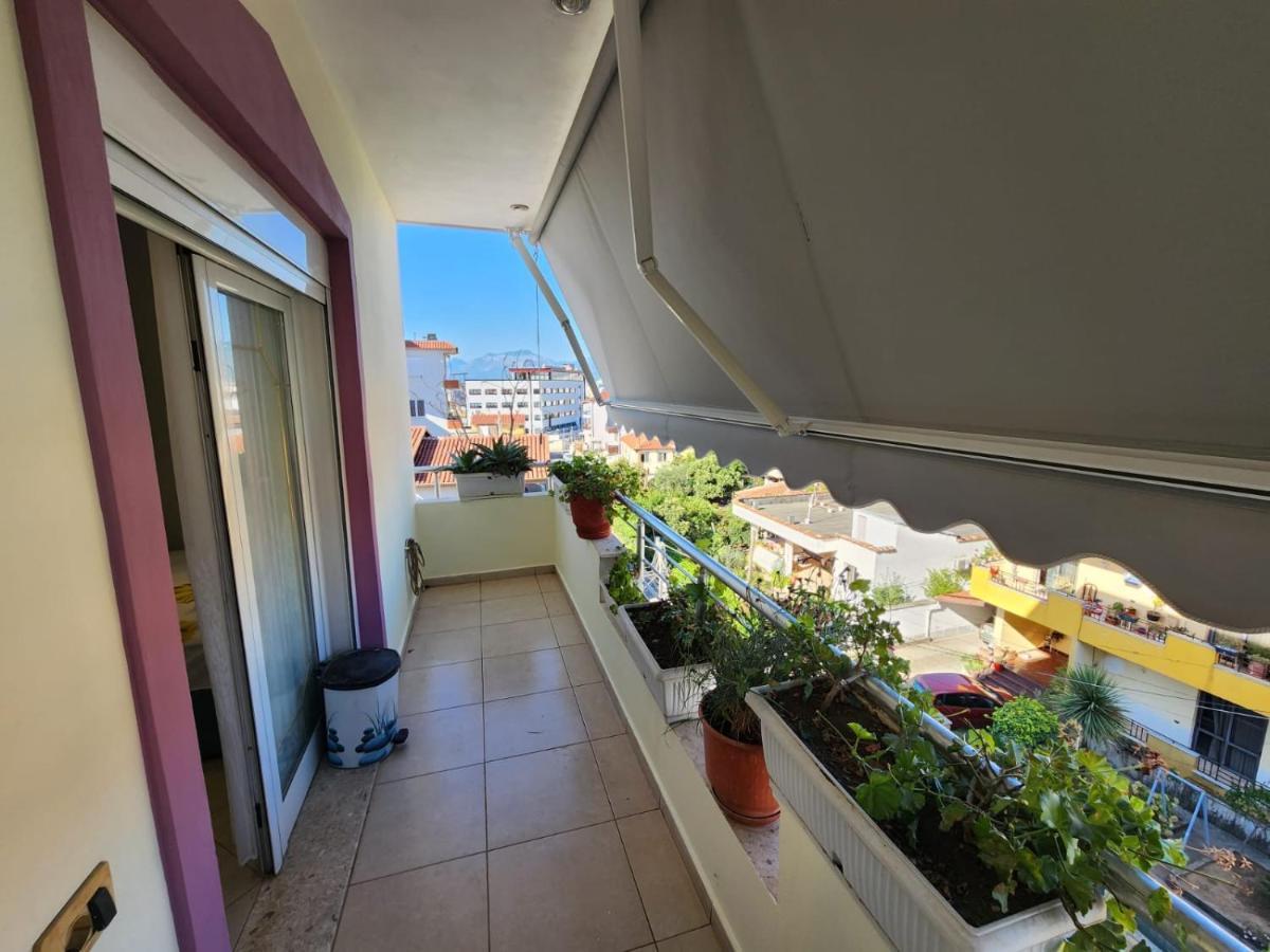 Affittacamere Class House Tirana